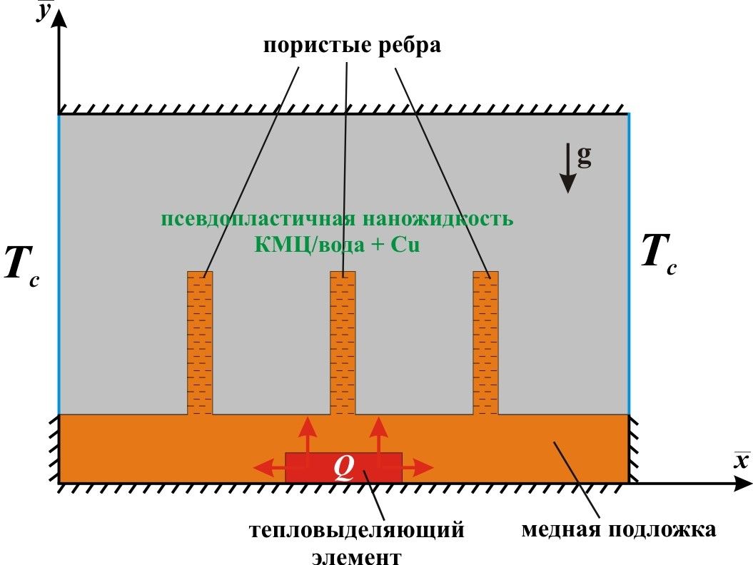 Численное моделирование естественной конвекции псевдопластичной наножидкости в полости с локальным нагревателем и пористыми ребрами