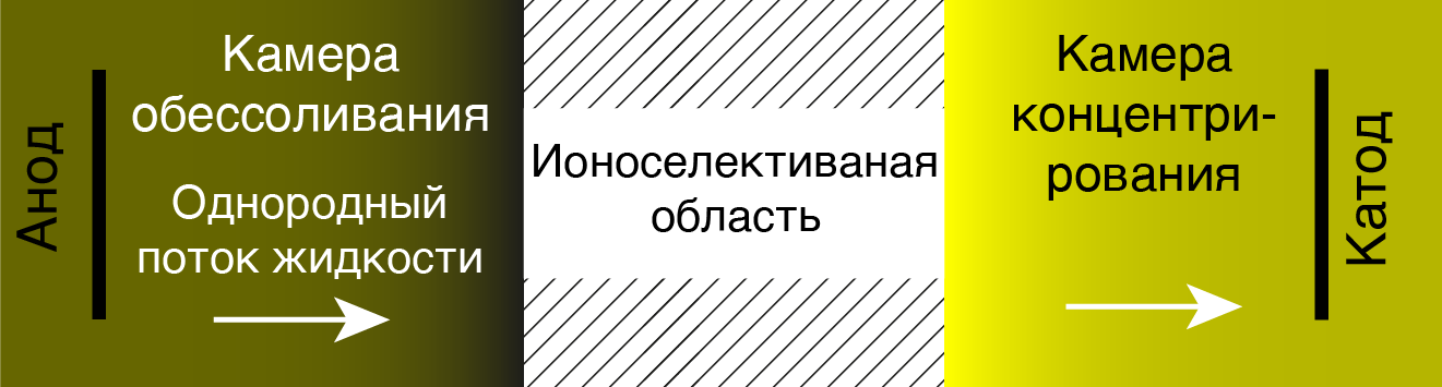МЕХАНИЗМЫ КОНЦЕНТРИРОВАНИЯ МАКРОМОЛЕКУЛ И  МНОГОВАЛЕНТНЫХ ИОНОВ В РАСТВОРЕ ЭЛЕКТРОЛИТА В МИКРОУСТРОЙСТВАХ