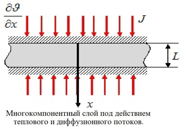 Нестационарная модель массопереноса в термоупругой многокомпонентной изотропной среде 