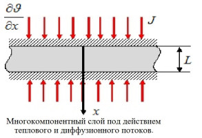 Нестационарная модель массопереноса в термоупругой многокомпонентной изотропной среде 