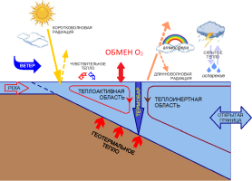ЧИСЛЕННОЕ МОДЕЛИРОВАНИЕ ПЕРЕНОСА РАСТВОРЕННОГО КИСЛОРОДА В ВОДОЕМЕ ПРИ РАЗВИТИИ ТЕРМОБАРА