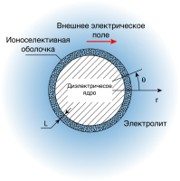 ЭЛЕКТРОФОРЕЗ ДИЭЛЕКТРИЧЕСКОЙ МИКРОЧАСТИЦЫ С ТОНКОЙ ИОНОСЕЛЕКТИВНОЙ ОБОЛОЧКОЙ