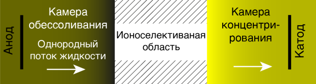 МЕХАНИЗМЫ КОНЦЕНТРИРОВАНИЯ МАКРОМОЛЕКУЛ И  МНОГОВАЛЕНТНЫХ ИОНОВ В РАСТВОРЕ ЭЛЕКТРОЛИТА В МИКРОУСТРОЙСТВАХ