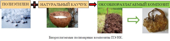 МЕХАНИКА КОМПОЗИТОВ НА ОСНОВЕ НАТУРАЛЬНОГО КАУЧУКА
